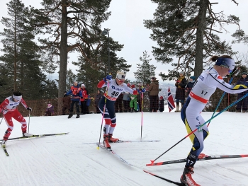 Nordic Ski